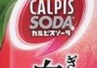 カルピスソーダぎゅっと搾り白桃　やわらかな爽快感