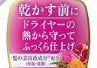 ドライヤーから髪を守るトリートメント発売　花王セグレタ