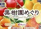 「バスキング発泡入浴剤　果樹園めぐり」もぎたて果汁をイメージした4種の香り