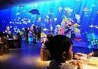 子どもの描いた魚が泳ぐ「お絵かき水族館」、新宿伊勢丹に登場