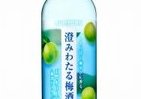 サントリー　人気沸騰の「澄みわたる梅酒」の販売を再開