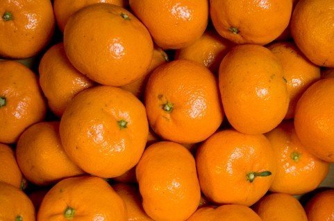 画像はイメージ