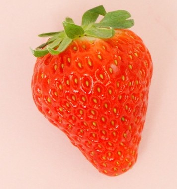 今年は100年に１度のイチゴ・イヤー！