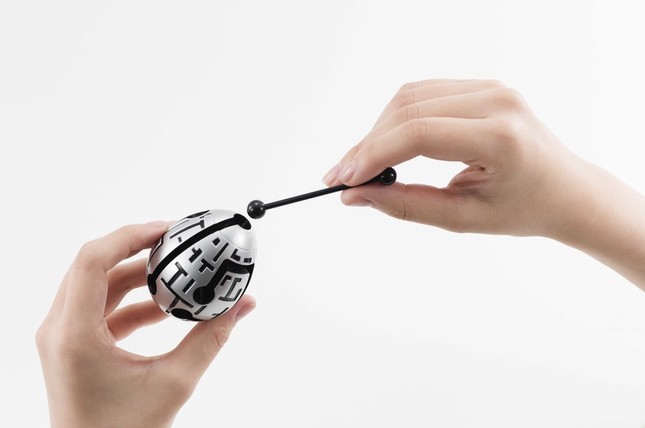 卵の中の迷路を進む