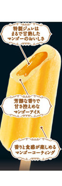 マンゴーのおいしさを凝縮