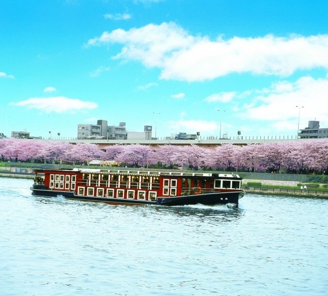 毎年大好評のクルージングプラン