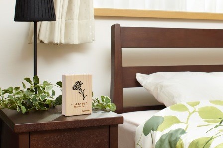 クリアフォレスト　Natural　Wood「母の日限定ギフトセット」