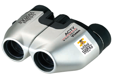 アクティ　ホークス