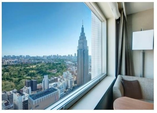 東側の部屋からは新宿御苑が見える