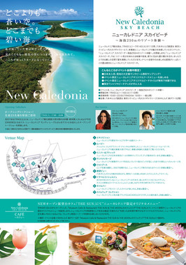 「ニューカレドニア　スカイビーチ～地上250mのリゾート体験～」