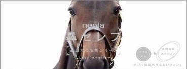 ブエナビスタの凛とした強さとかわいらしい表情が楽しめる