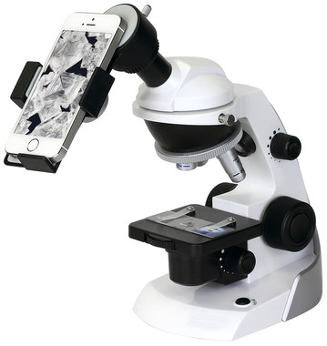 不思議がいっぱいのミクロの世界をスマホで撮影