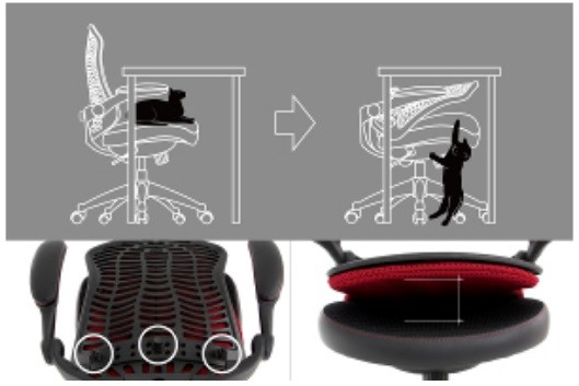 猫に居場所を与えない