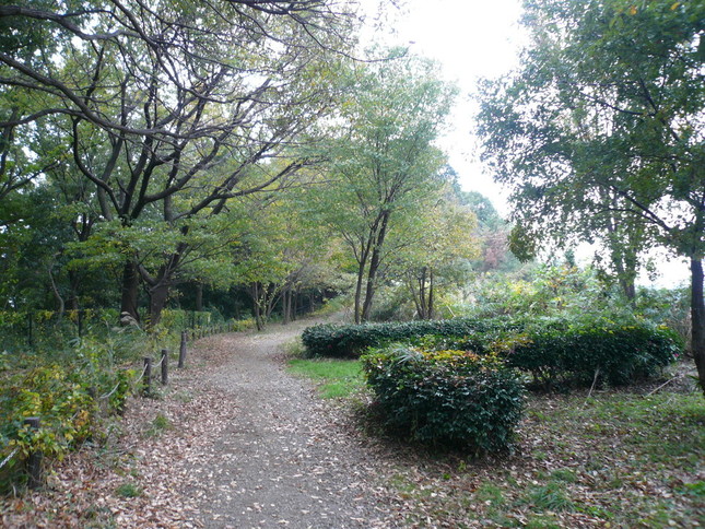 多摩よこやまの道を歩くコースの景観