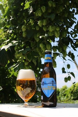 華やかな香りが楽しめる