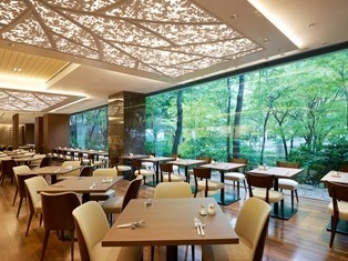 広い窓から外に広がる樹木のパノラマとスタイリッシュで爽やかな温かみのある空間