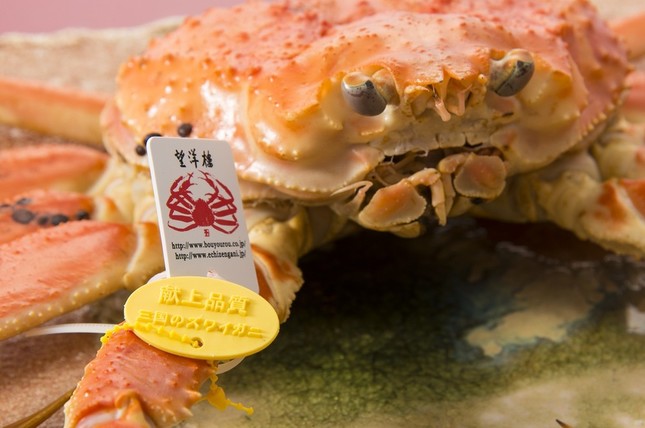 その地域の伝統や文化、歴史や自然を感じられる食体験