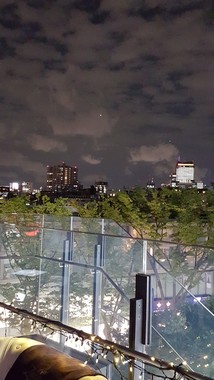 「Galaxy S6」で撮影　手前のガラス柵、中間の並木、奥のビルや空、雲も明瞭に写る