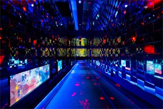 「蜷川実花×すみだ水族館　クラゲ万華鏡トンネル」(夜バージョン)