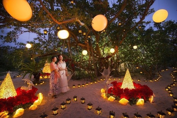 ガジュマル広場のクリスマスガーデン