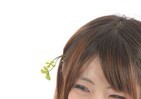 辮髪風からちょんまげ風に？　なぜ日本で売ろうと思った...中国で大人気、頭に生える謎のアクセサリー「豆芽花」が上陸