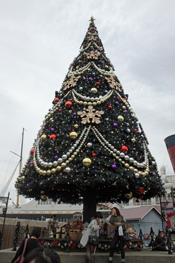 TDS、豪華客船S.S.コロンビア号前に登場した高さ約15メートルの巨大ツリー
