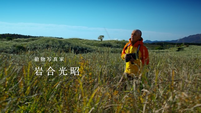 岩合さんの写真は、ナショナルジオグラフィック誌の表紙を２度飾るなど、全世界で高く評価されている