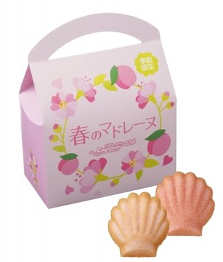 春のマドレーヌ（2種6個入）