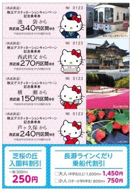 秩父デスティネーションキャンペーン記念乗車券