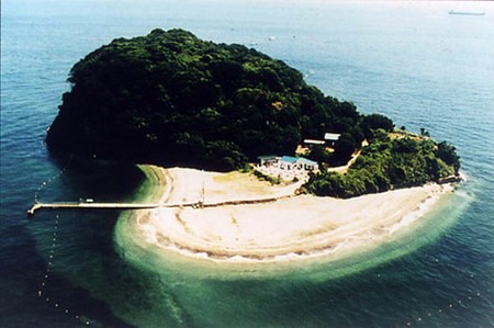 東京湾唯一の無人島「猿島」