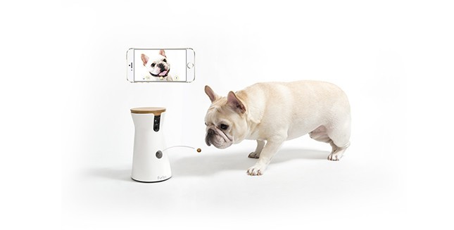 おやつが飛び出すスマートドッグカメラ「Furbo（ファーボ）」