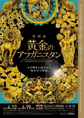 14年間隠された秘宝を一挙公開