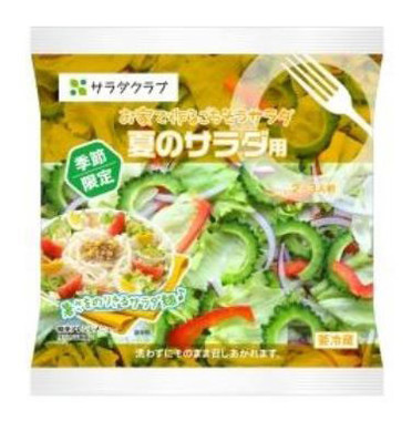 お家で作るごちそうサラダ　夏のサラダ用