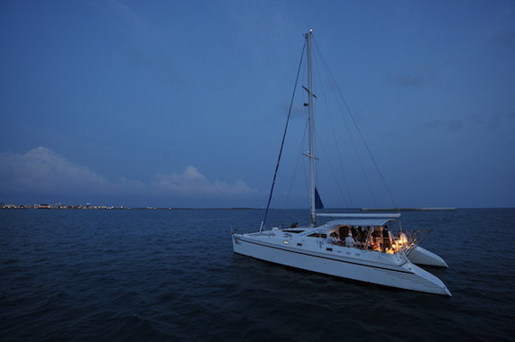 星の世界に包まれるひととき