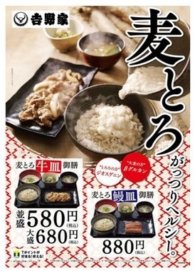 「麦とろ牛皿御膳」この夏も