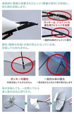 骨に設置したヒンジがポイント