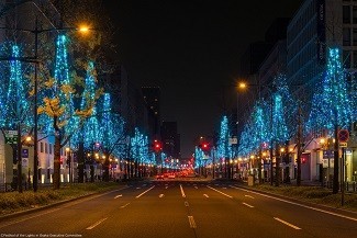 大阪の食とイルミネーションが一度に楽しめる