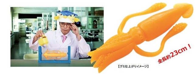 さかなクンと共同開発