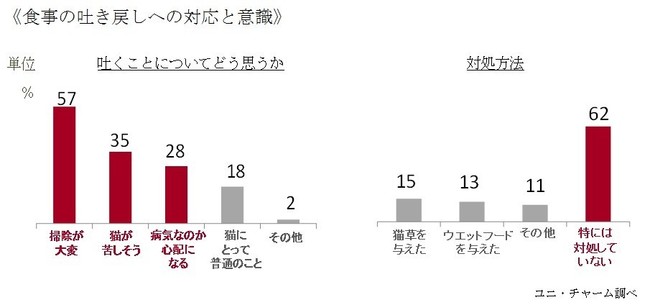 猫の食事の吐き戻しへの対応と意識