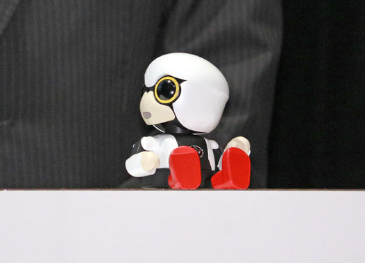 話している相手の方を向く習性がある