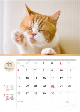 身だしなみを整える春馬