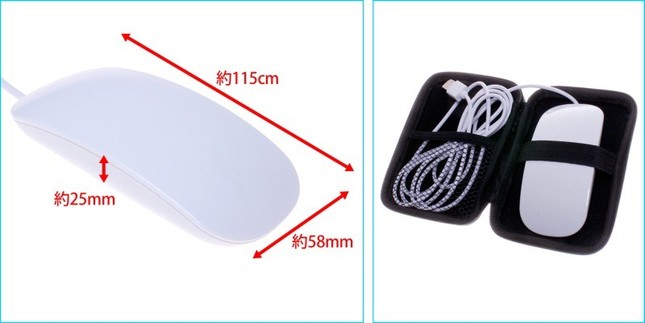 持ち運びに便利な専用ケース付き