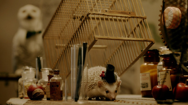 ピタゴラ装置には、フクロウやハリネズミも登場する