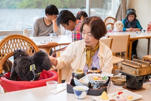 「ドッグリゾート鹿児島　CoCoフォレいむた」