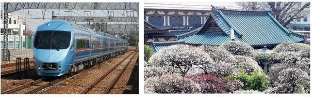 「メトロおさんぽ号」に使用される「ロマンスカー・MSE（60000 形）」と湯島天神の梅
