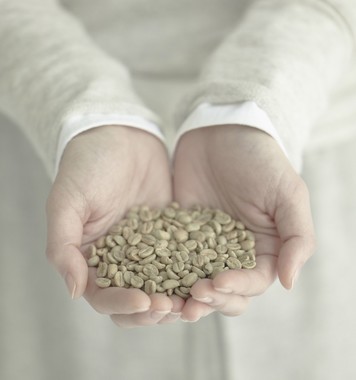 厳しい品質管理と安全基準で選定した世界中の良質なスペシャルティ豆を季節ごとの4つのテーマにあわせて毎月お届け