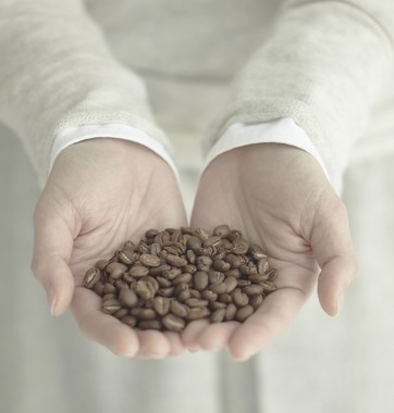 焙煎プロファイルは豆の特長にあわせて1種類の豆に焙煎度の異なる2～3パターンを作成