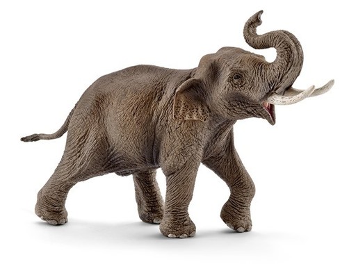 ワイルドライフシリーズの「インド象（オス）」