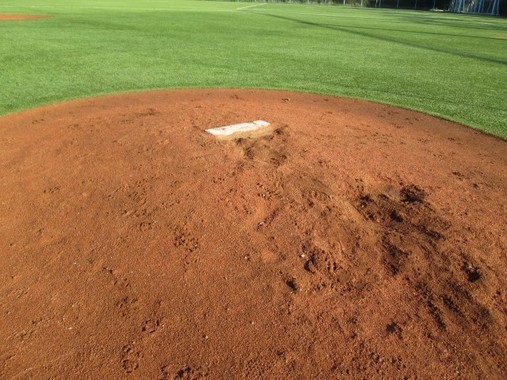 ハンカチ王子はどんな活躍を見せてくれるのか
