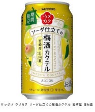 軽く酔いたいときにぴったり